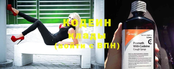 не бодяженный Гусь-Хрустальный