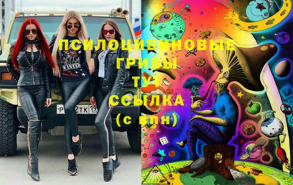 2c-b Гусев