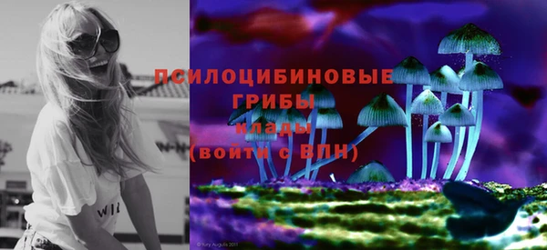 не бодяженный Гусь-Хрустальный